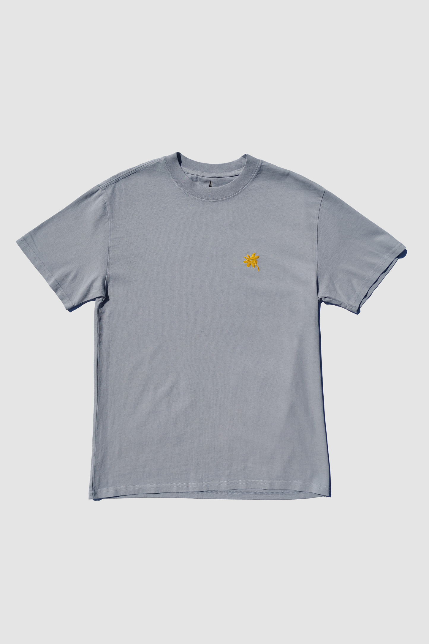 Sea Horse Short Sleeve Faded Graphic Tee