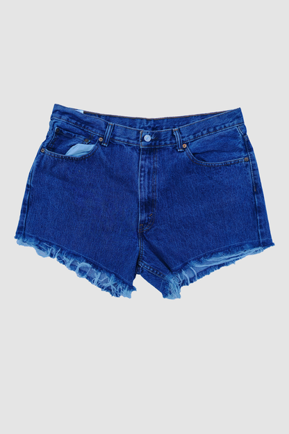 Reworked Levi Daisy Dukes