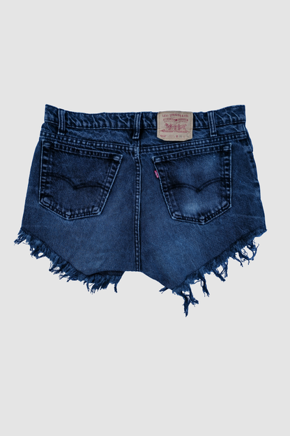 Reworked Levi Daisy Dukes