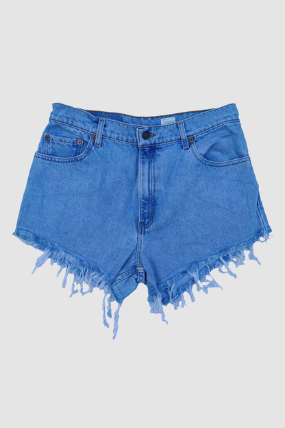 Reworked Levi Daisy Dukes