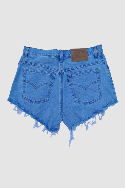 Reworked Levi Daisy Dukes