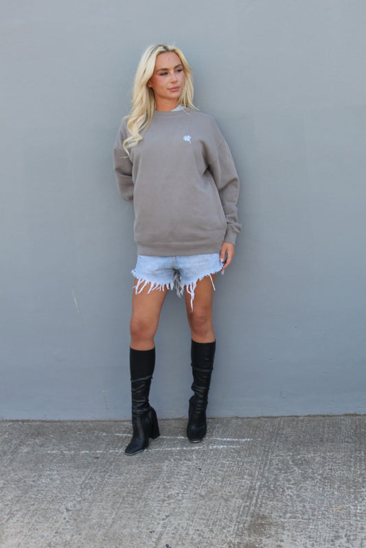 Reworked Levi Daisy Dukes